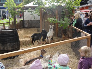 Besucher beobachten Ziegen in ihrem mit Heu ausgelegten Gehege