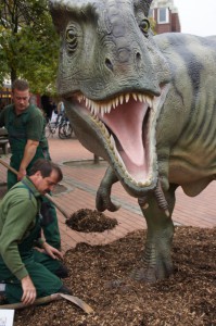 Nahaufnahme eines Dinosaurier-Mauls sowie Mitarbeiter die sich um die Ausstellung kümmern