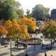 Dorfplatz auf dem Tibarg mit herbstlichen Bäumen