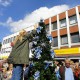 Eine Frau schmückt in der Zuschauermenge einen Tannenbaum mit blauen und silbernen Schleifen.