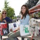 Das Bild zeigt zwei auf einer Bank sitzenden Frauen, die mit ihrem Hund zum Shoppen unterwegs sind.