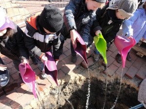 Fünf Kinder gießen mit bunten Gießkannen Wasser in das Erdloch, wo der Baum eingesetzt wurde.