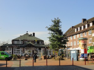 Die große Tränenkiefer steht nun in ihrer vollen Größe auf dem Gelände vor Jas Steakhouse.