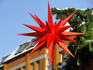 Ein roter Weihnachtsstern hängt an einem Tannenbaum