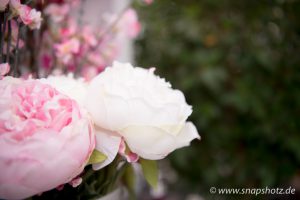 Rosen von Blumen Tomfort