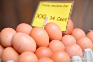 Frische Eier