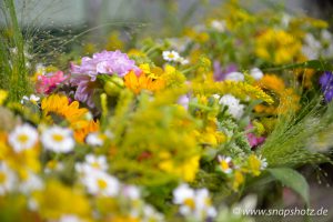 Blumenpracht bei Blumen Rühmann