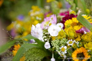 Wiesenblumen von Blumen Rühmann