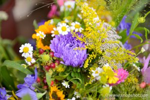 Schöne Blumen von Blumen Rühmann