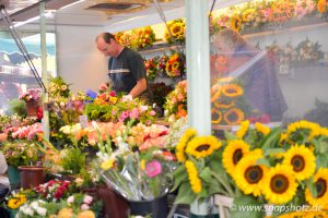Blumen Rühmann verkauft Schnittblumen jeglicher Art
