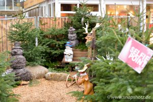 Weihnachtlicher Selfie-Point