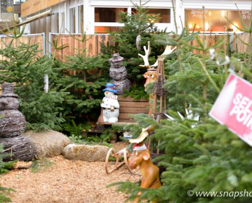 Weihnachtlicher Selfie-Point