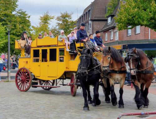Best of „Bauernmarkt & Weinfest 2025“