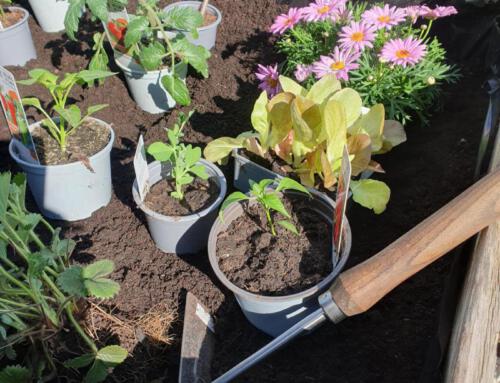 ERLEBNISGARTEN TIBARG